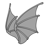 Chitinous Filigree