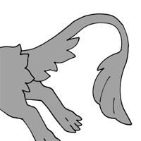 Tufted Tail