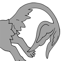 Winged Tail